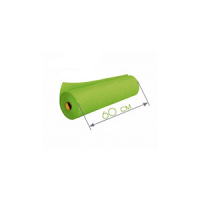 Простыни одноразовые в рулоне зеленый 0,6 х 100 м., 20 гр/м2 